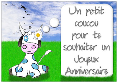 Message anniversaire humour sms amoure.blogspot.com - Texte anniversaire avec humour