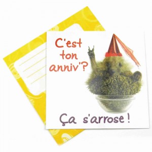 artes danniversaire humoristiques1 300x300 - Cartes d&#039;anniversaire humoristiques gratuites à imprimer